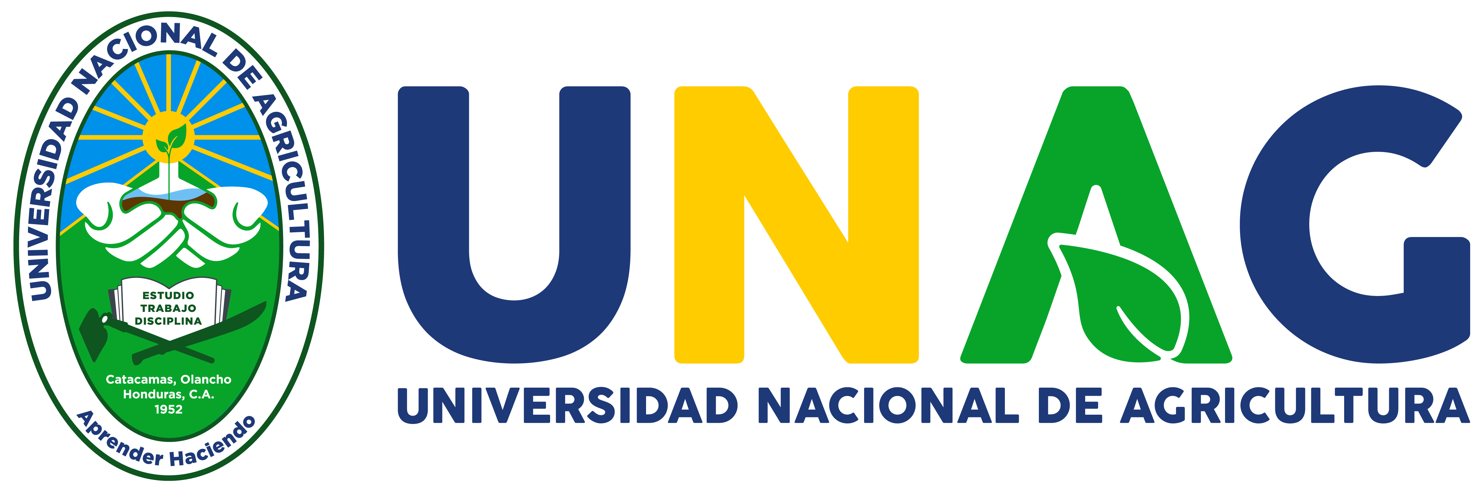 Vista previa de Logo Oficial — Color